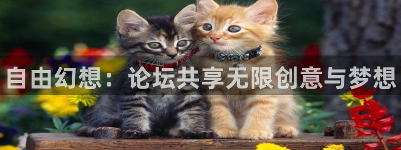 自由幻想：论坛共享无限创意与梦想